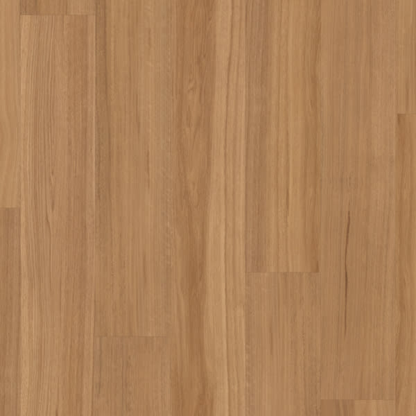 Classic Spotted Gum KP149-7