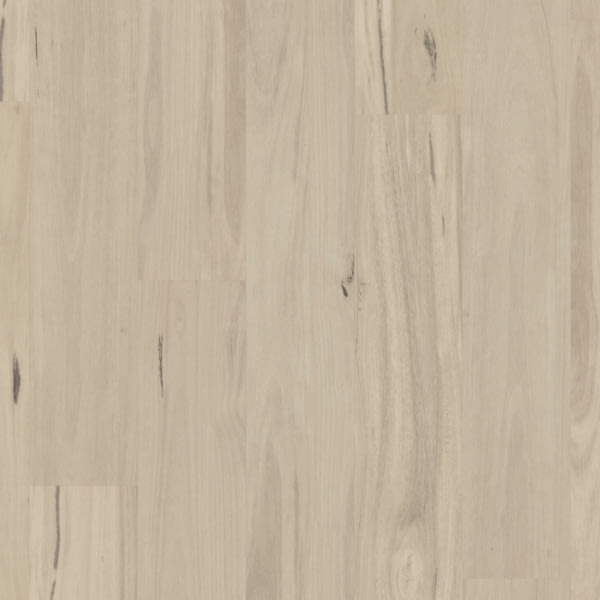 Coastal Blackbutt KP157-7