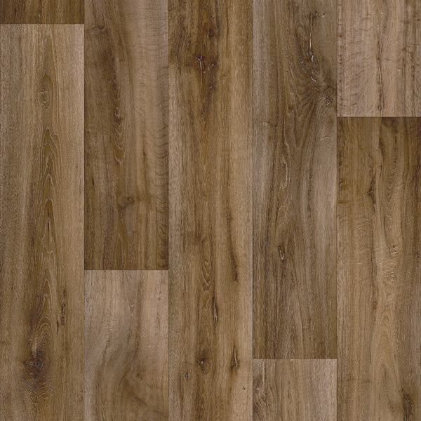 Lime Oak 679D