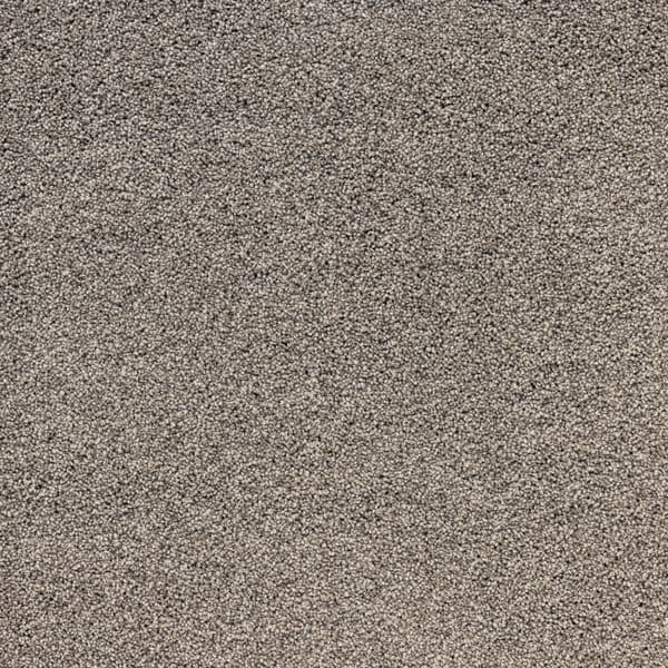227Raw-Umber-556227