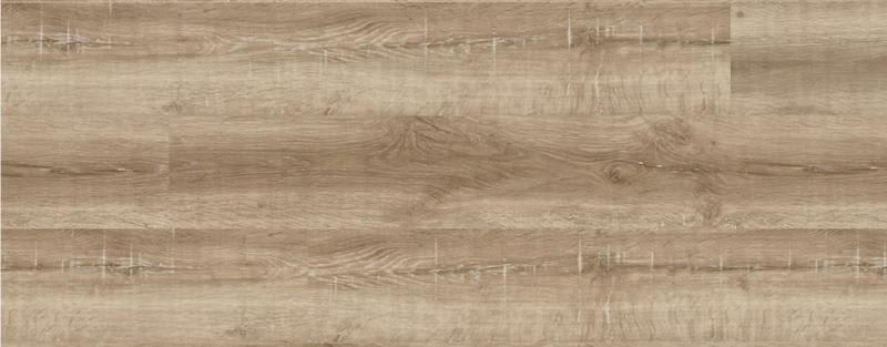 Beverley Oak