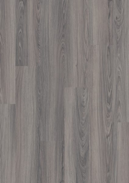 Ventura Oak