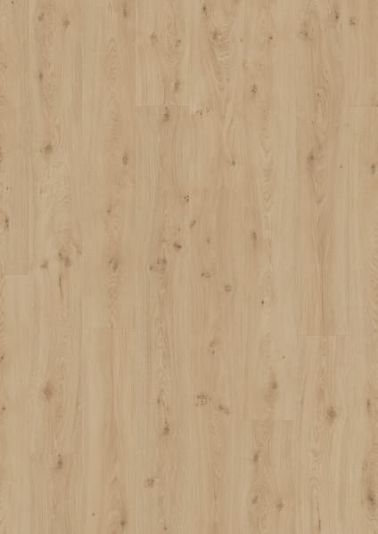 Midas Oak