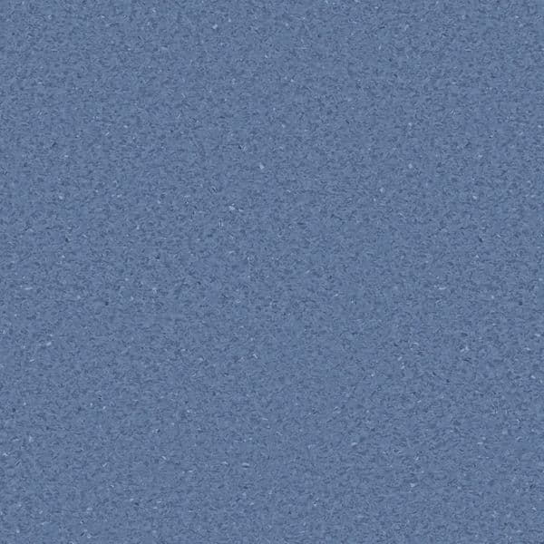 81Blue81