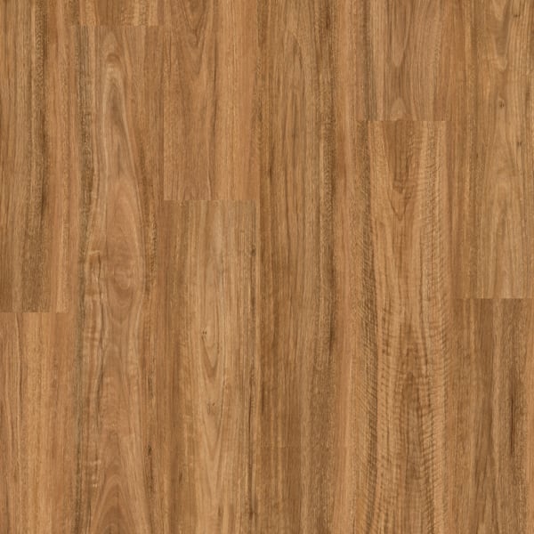 Spotted Gum