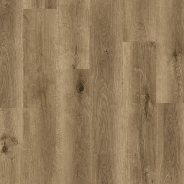 Warm Urban Oak