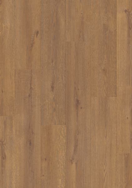 Aurora Oak