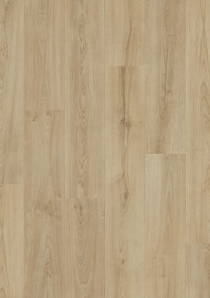 Branson Oak