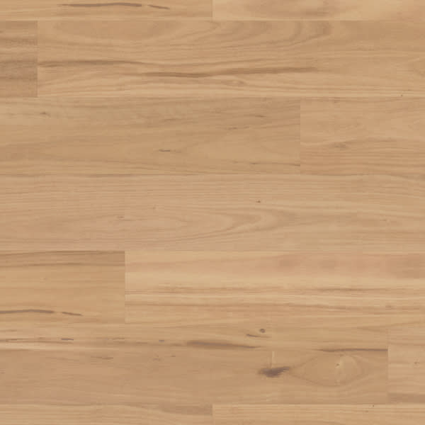 VGW130T - Eastern Blackbutt