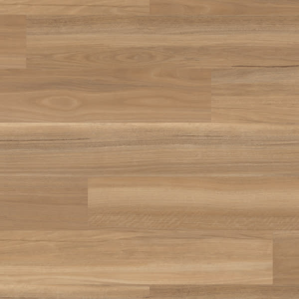 VGW131T - River Spotted Gum