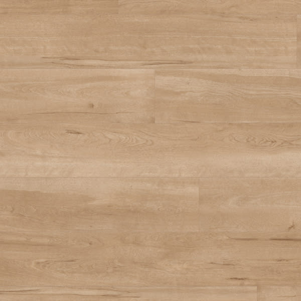 VGW84T Birch