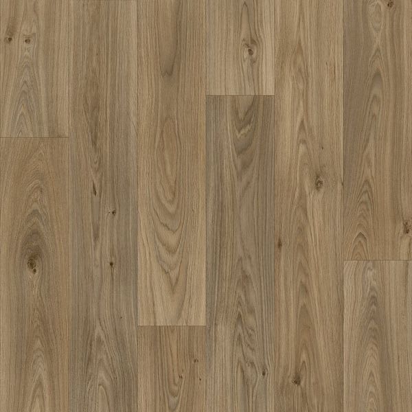 Gambel Oak 662M