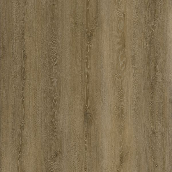 Colonial Maple 20142