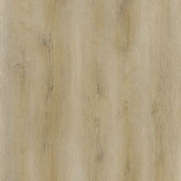 Golden Ecru 8693