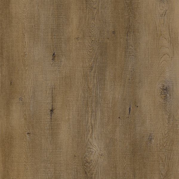 Provincial Oak 8589