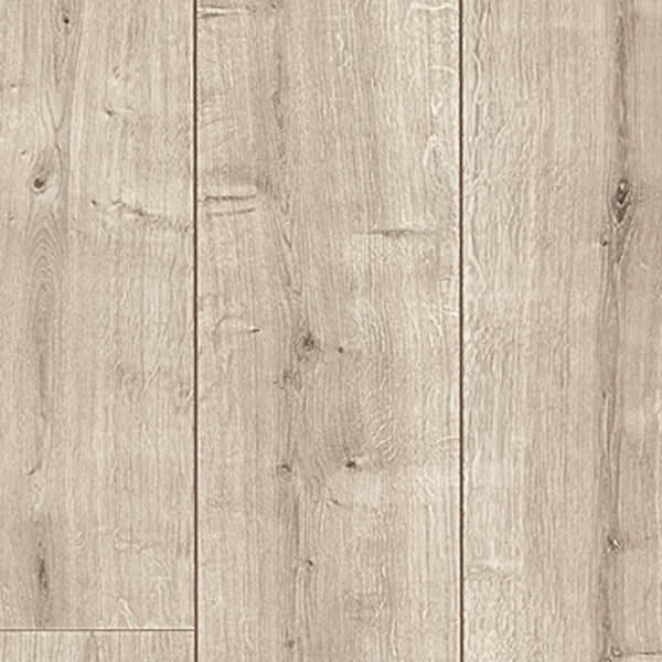 Laurel Oak