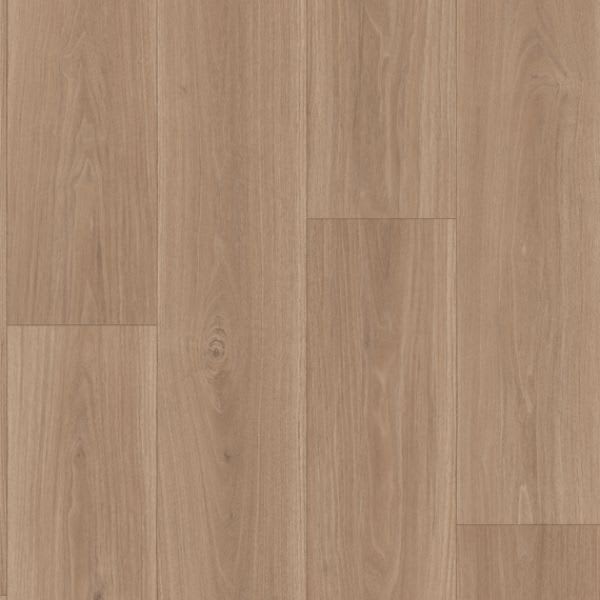 Noce Classico Beige
