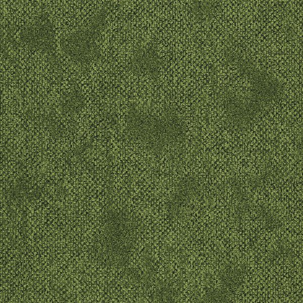 Basil Green 240