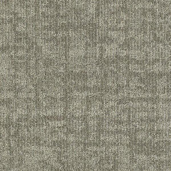 10295-Belgotex