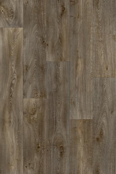12486-Belgotex