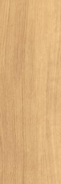 12560-Belgotex
