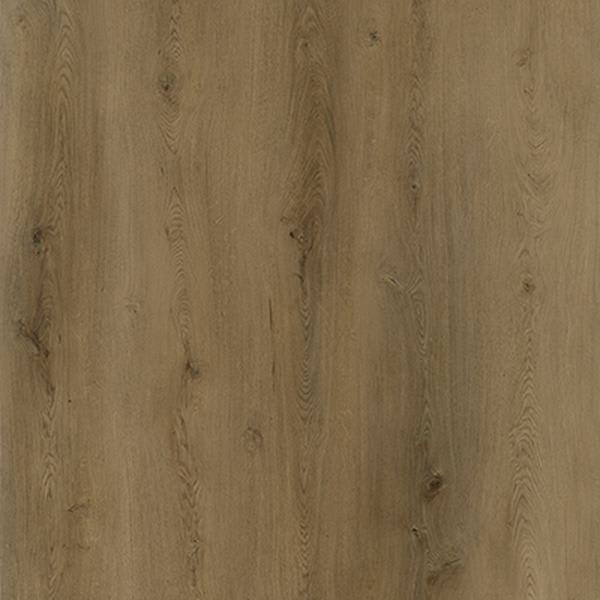 15262-Belgotex