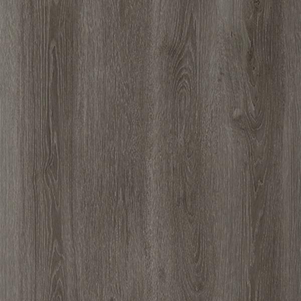 15281-Belgotex