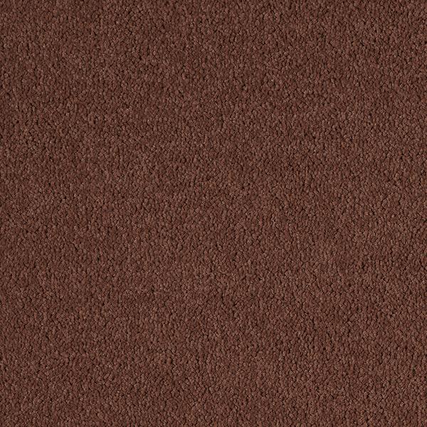 15846-Belgotex