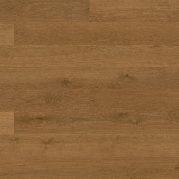 15988-Belgotex
