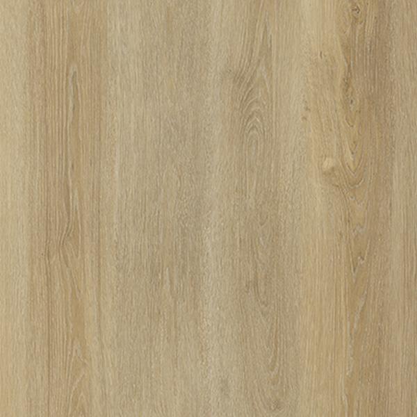 16397-Belgotex