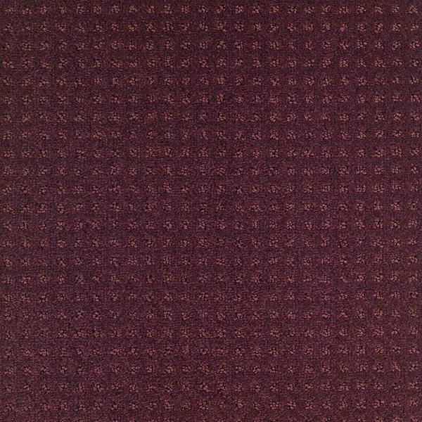 6635-Belgotex