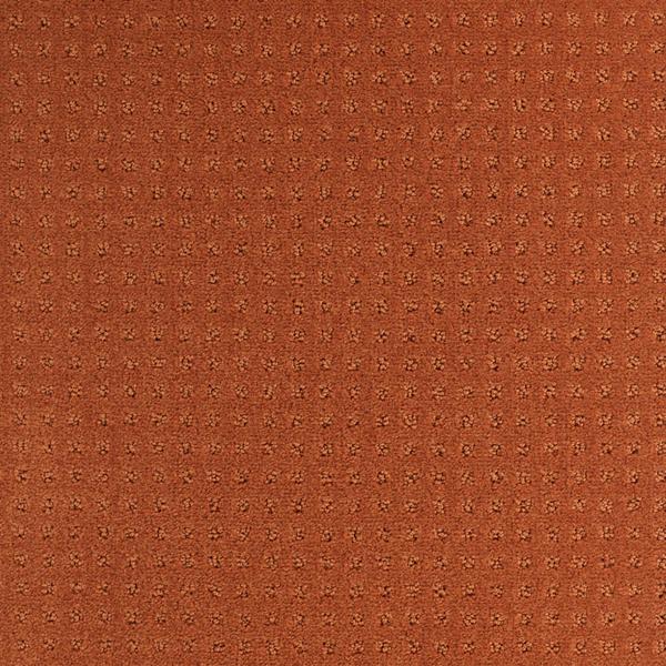 6636-Belgotex