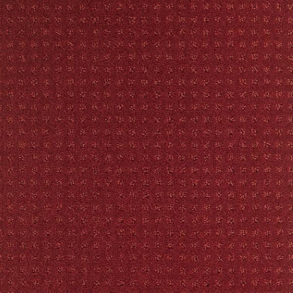 6639-Belgotex