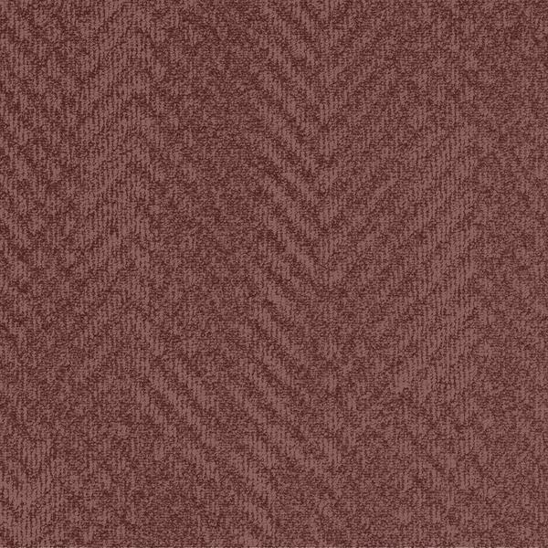 7937-Belgotex