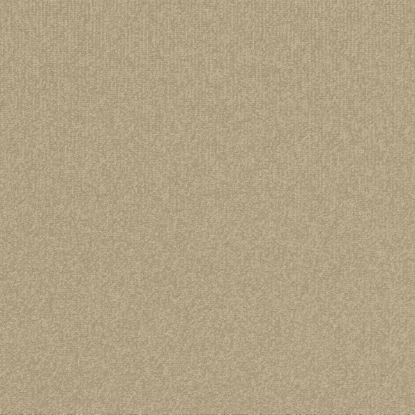 8205-Belgotex