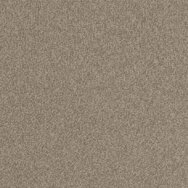 8206-Belgotex