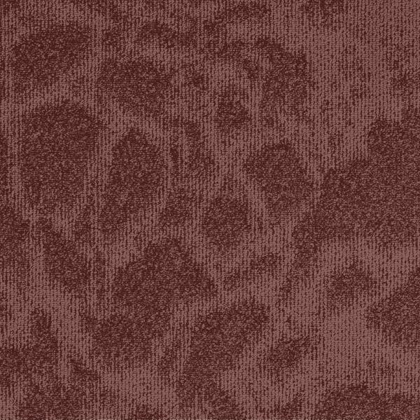 8688-Belgotex