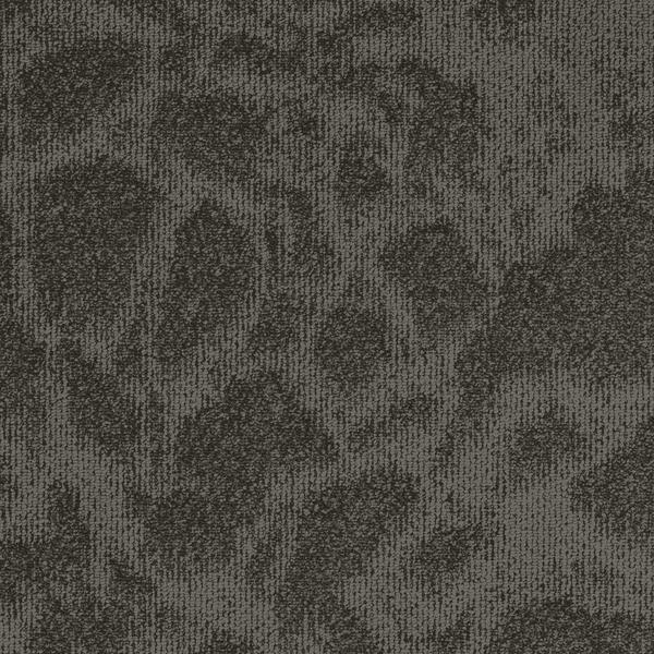 8698-Belgotex