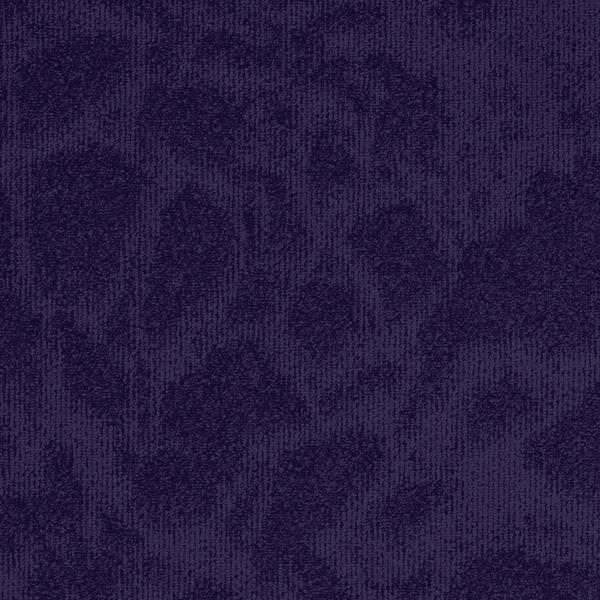 8699-Belgotex