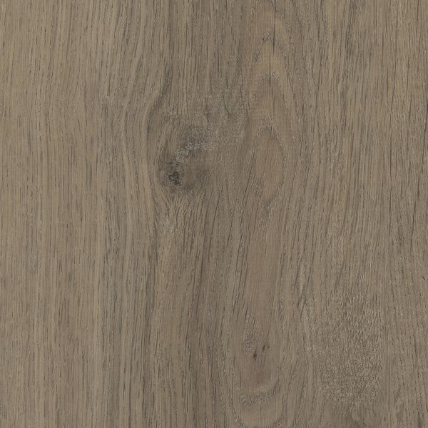 Bristle Oak 10