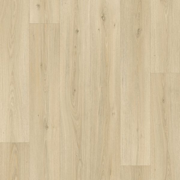 Bur Oak Blonde