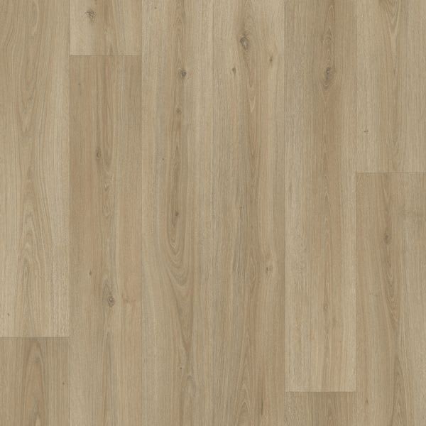 Bur Oak Bronze