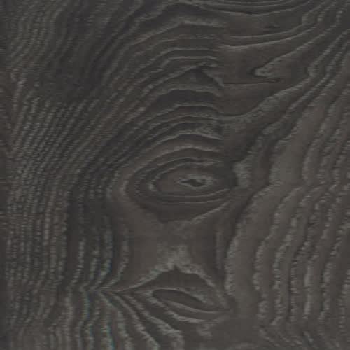 Black Elm