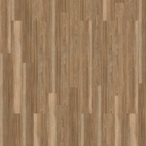 Honey Ash