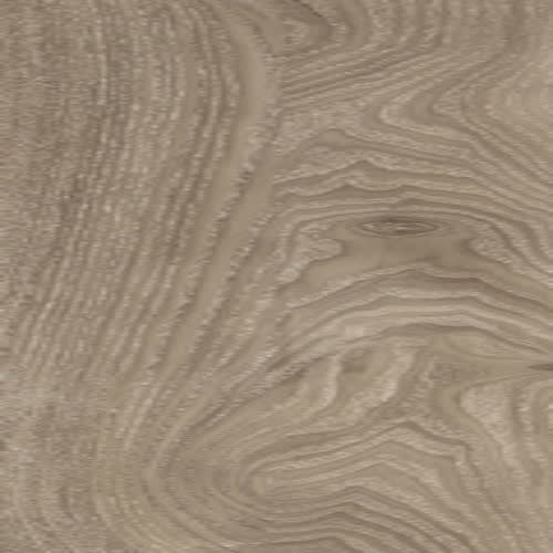 Light Elm