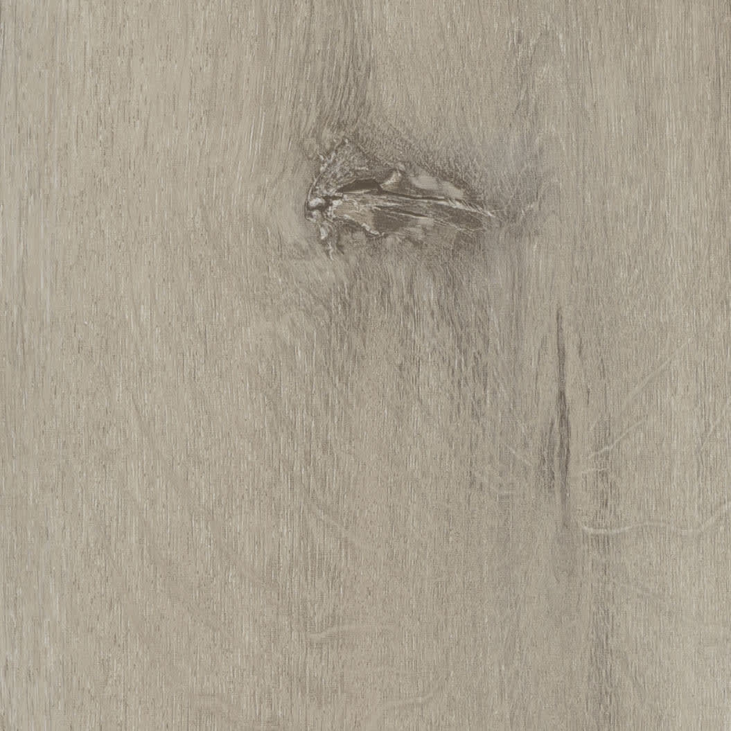 Blonde Oak