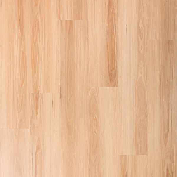 Cypress Oak