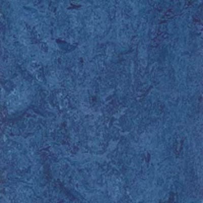 303035 Blue