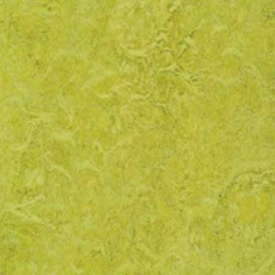 322435 Charteuse
