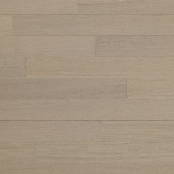 Desert Oak